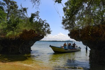Kisite-Mpunguti Marine photo 1