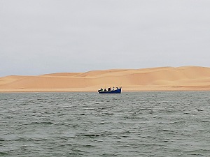 卡尼菲斯湾国家公园 4