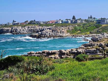Hermanus