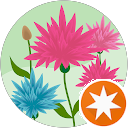 attractions-reviews-avatar