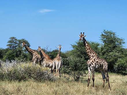 Kruger National Park