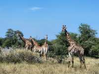 Kruger National Park