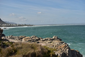 Hermanus 3