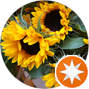 attractions-reviews-avatar