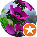 attractions-reviews-avatar