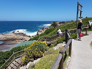 Hermanus 5