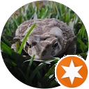 attractions-reviews-avatar