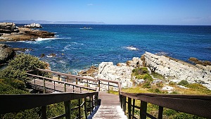 Hermanus 4