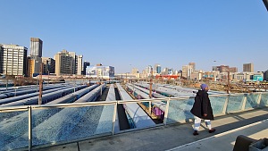 约翰内斯堡 2