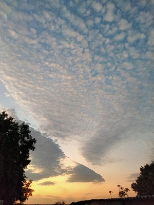 阿平顿 4