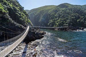 齐齐卡马国家公园 4