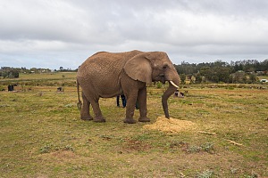 Garden Route National Park 3