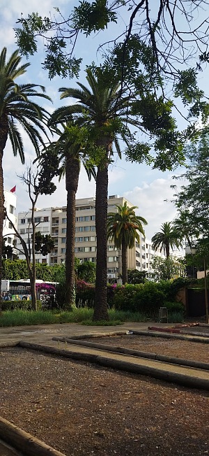 哈桑休闲公园 2