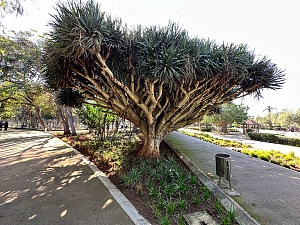哈桑休闲公园 4
