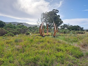 Steenbok自然保护区 2