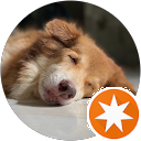 attractions-reviews-avatar