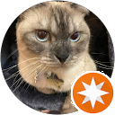 attractions-reviews-avatar