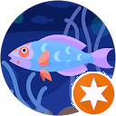 attractions-reviews-avatar