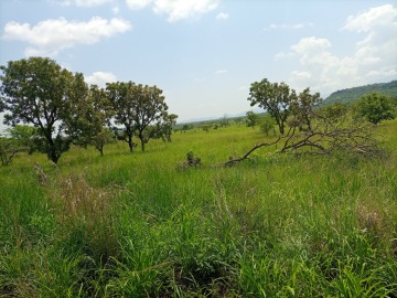 Pian Upe Game Reserve photo 1