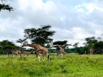 Lake Mburo photo 2
