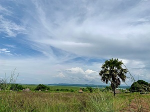 阿贾伊野生动物保护区 2
