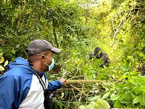 Bwindi 3