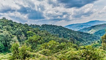 Bwindi photo 1
