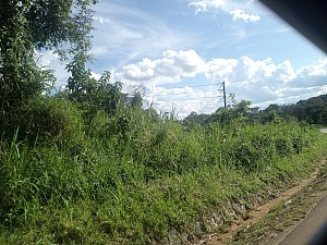 Kibale National Park 5