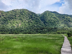 塞姆利基国家公园 5
