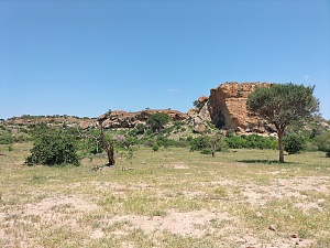 马蓬古布韦国家公园 3