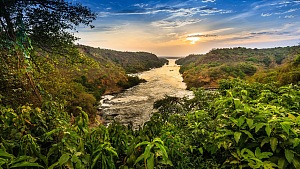 默奇森瀑布国家公园 2