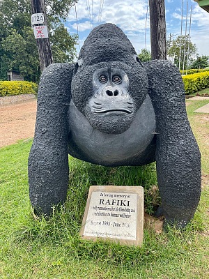 Bwindi 4