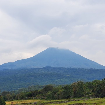Mgahinga Gorilla National Park photo 2