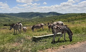 Hluhluwe–iMfolozi Park 3