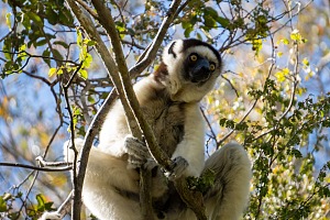 宗比特国家公园 3