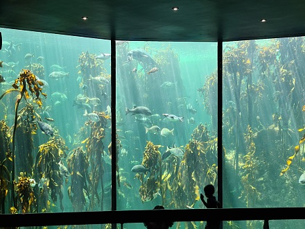 两大洋水族馆