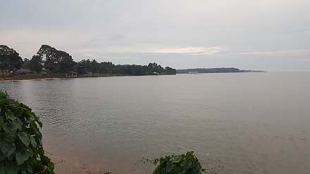 基图布鲁