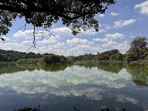 察拉萨特拉公园 2