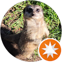 attractions-reviews-avatar