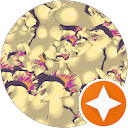 attractions-reviews-avatar