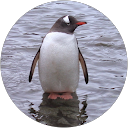 attractions-reviews-avatar