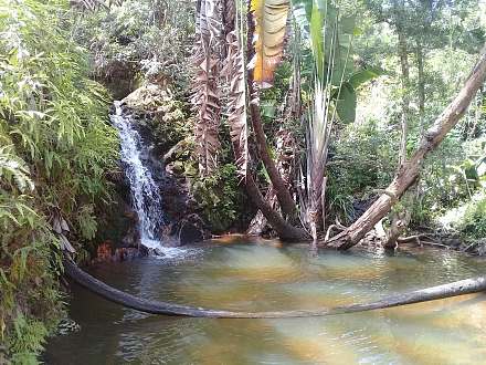Ivoloina Park