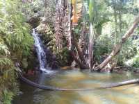 Ivoloina Park