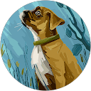 attractions-reviews-avatar