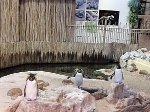 两大洋水族馆 5