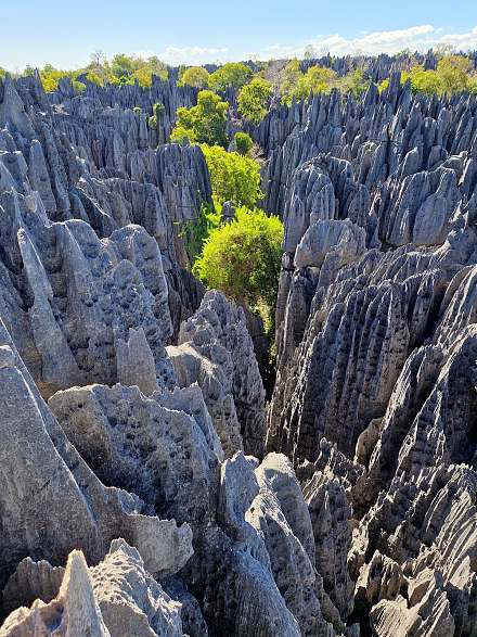 Tsingy de Bemaraha