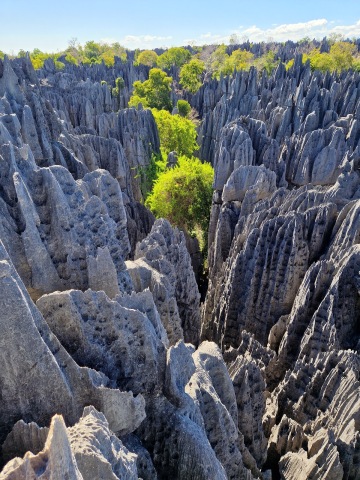 Tsingy de Bemaraha photo 1