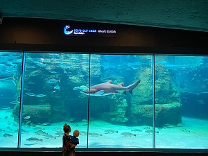 两大洋水族馆 2