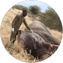 attractions-reviews-avatar