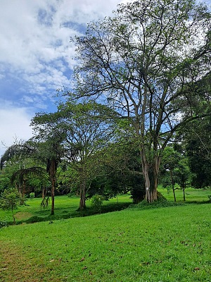 Entebbe Botanical Garden 3